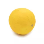 Golden Honeydew Melon